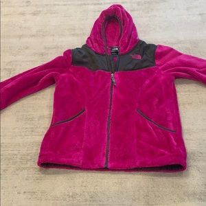 Jacket (fleas)